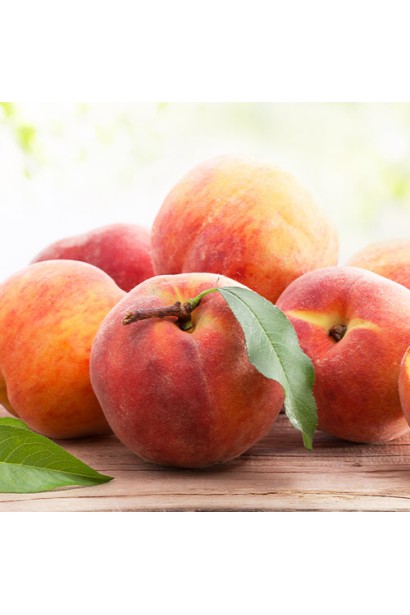 Prunus persica ‘Condor’